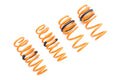 Megan Racing Tesla Model 3 17+ AWD (EXC RWD) Lowering Springs