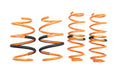 Megan Racing Honda Civic 22+ (EXC Type-R) Lowering Springs