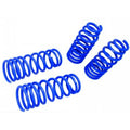 Manzo Lower Springs Nissan Maxima 95